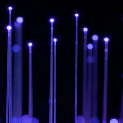 Fiber{0}}berbilang mod